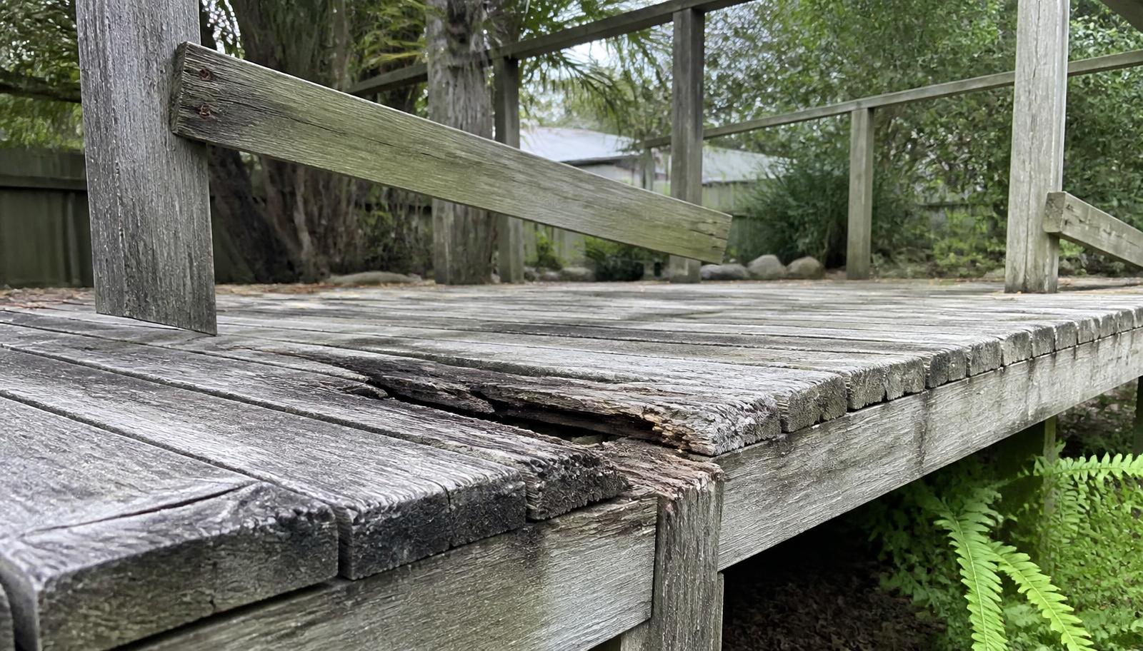 Carpenter inspecting the underside of a timber deck frame for rot and structural damage on the Gold Coast