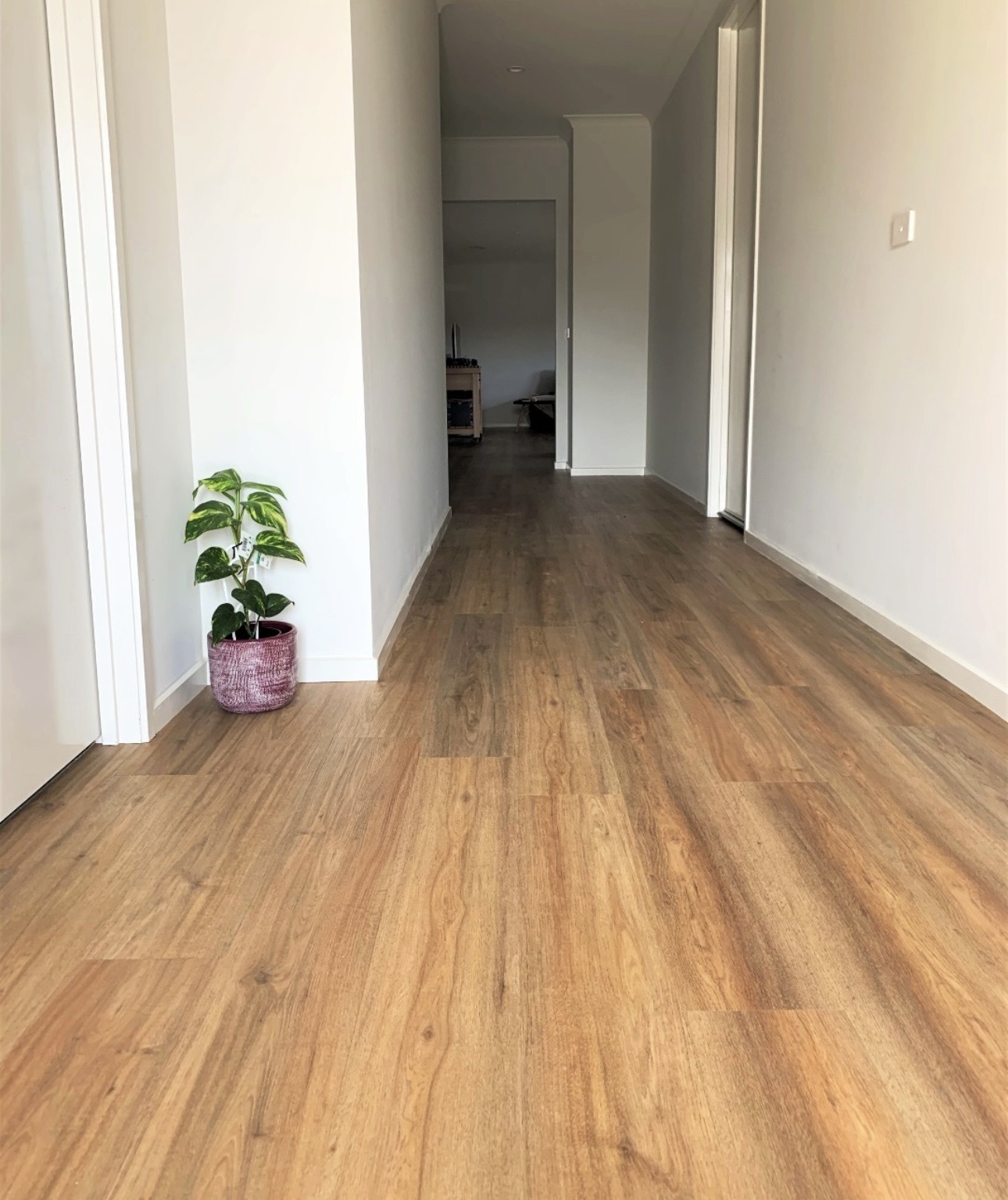 Warm timber-look hybrid flooring along a Gold Coast home hallway